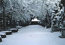 富士御室浅間神社　参道