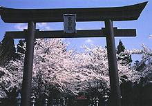 富士御室浅間神社　鳥居